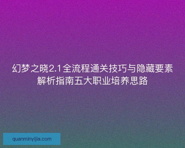 幻梦之晓2.1全流程通关技巧与隐藏要素解析指南五大职业培养思路